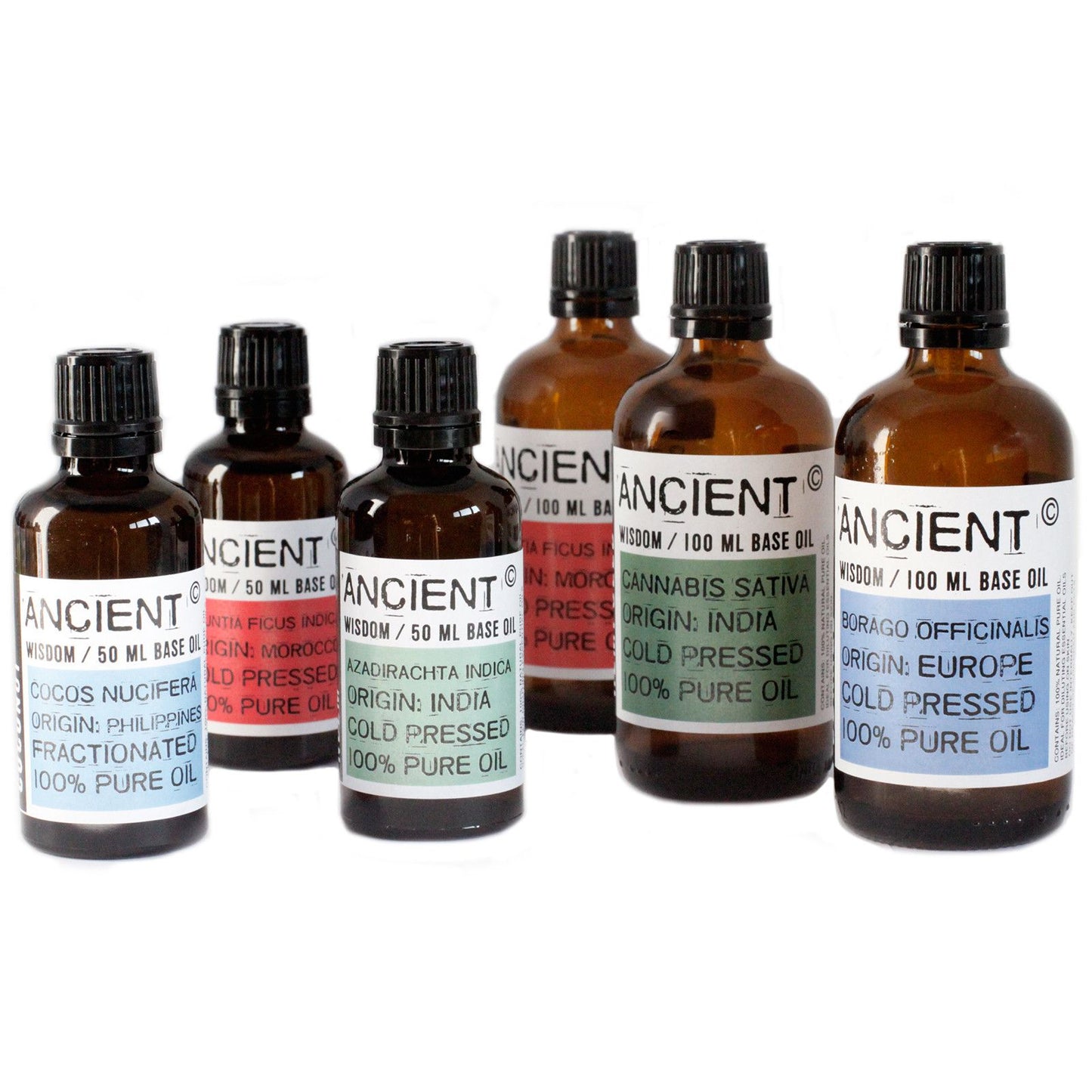 Prickly Pear Cactus Seed Oil - 50 ml