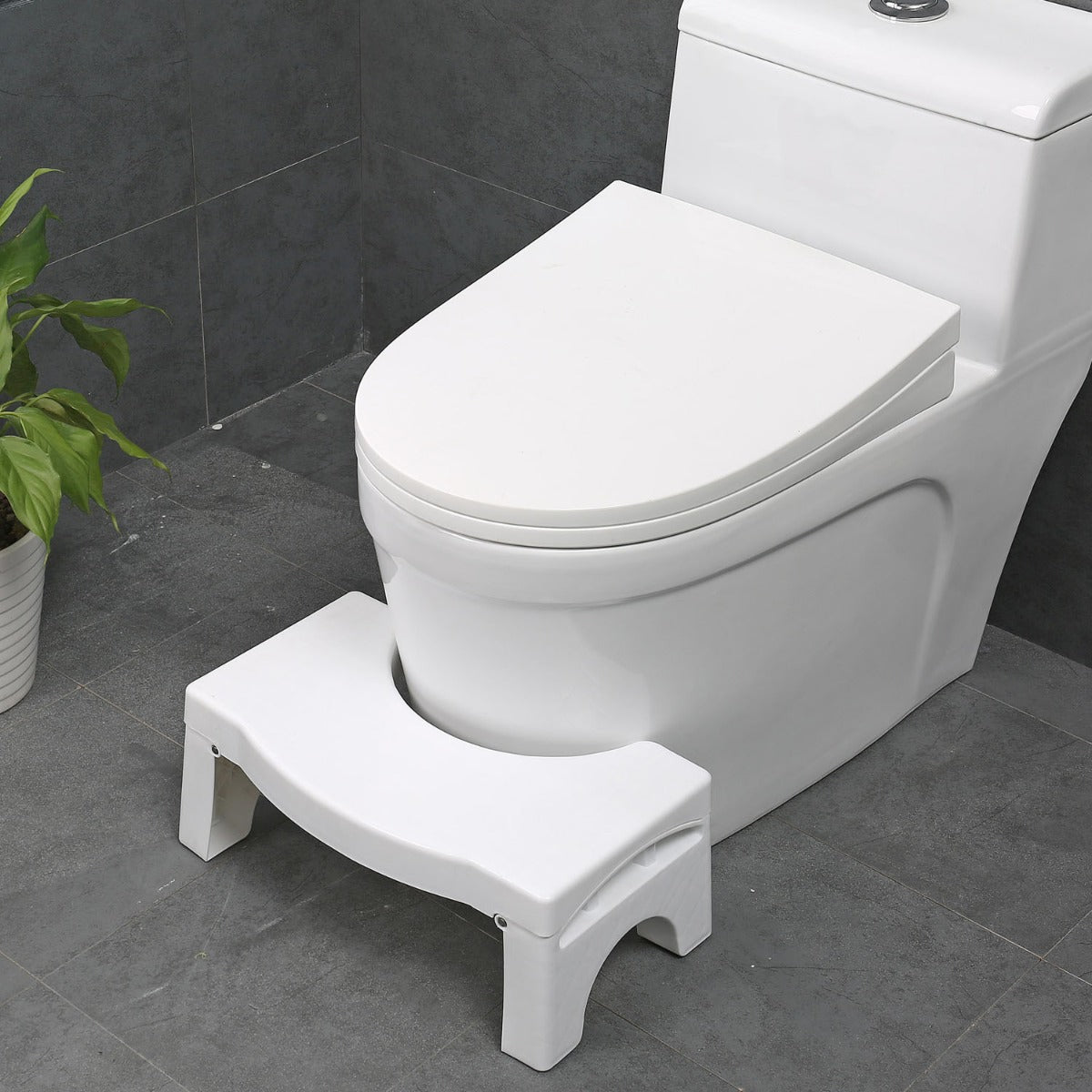 Folding Toilet Step