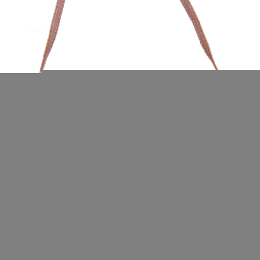 Fab Fringe Bag - Hamsa Print