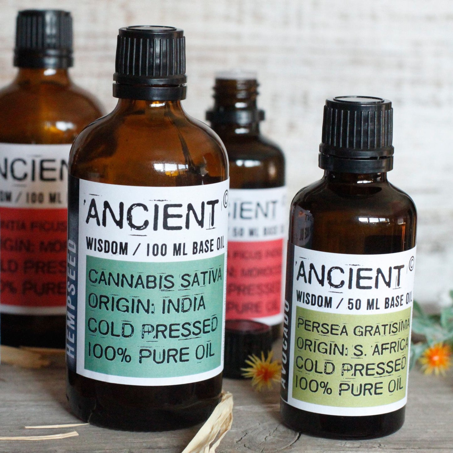Prickly Pear Cactus Seed Oil - 50 ml